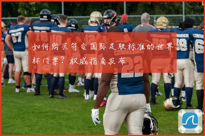 如何购买符合国际足联标准的世界杯门票?权威指南发布