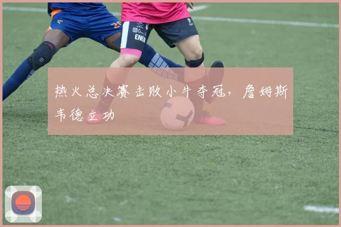 热火总决赛击败小牛夺冠,詹姆斯韦德立功