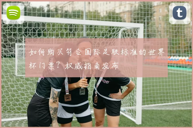 如何购买符合国际足联标准的世界杯门票？权威指南发布