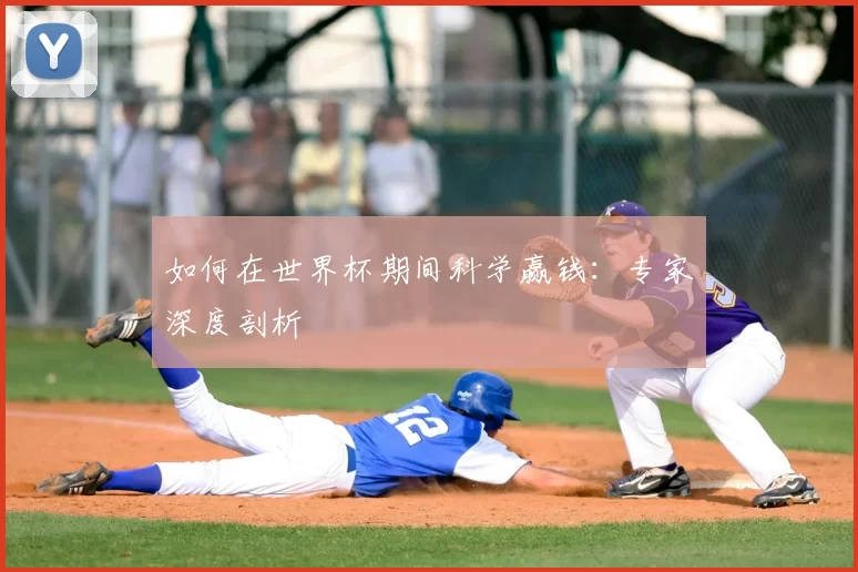 如何在世界杯期间科学赢钱:专家深度剖析