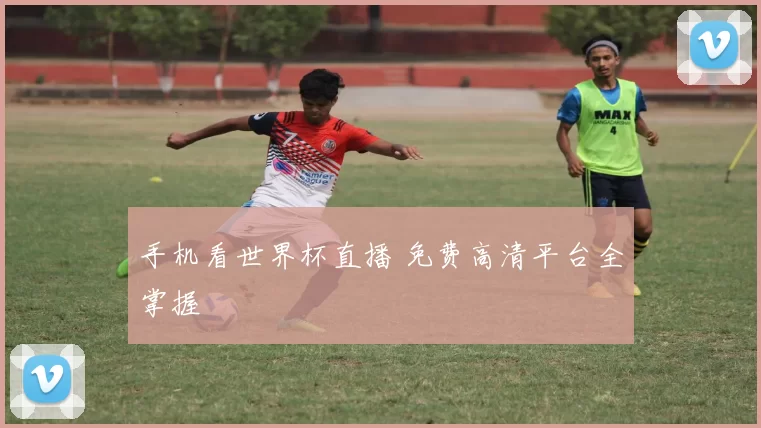 手机看世界杯直播 免费高清平台全掌握