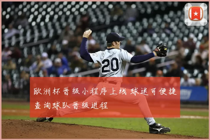 欧洲杯晋级小程序上线 球迷可便捷查询球队晋级进程