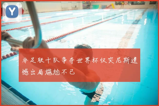 非足联十队争夺世界杯仅突尼斯遗憾出局尴尬不已